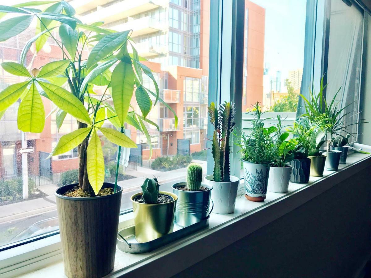 Home In Downtown Торонто Екстериор снимка